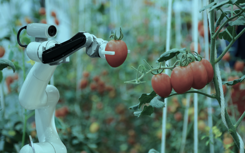 Сенатор Грэм раскрыл, кого коснутся пошлины Трампа против России в