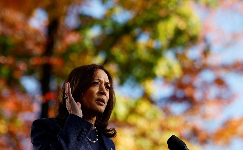 Сенатор Грэм спросил, «какого черта» республиканцы поддерживают Харрис