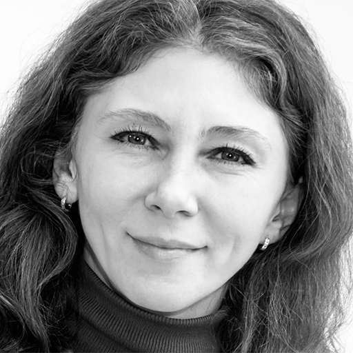 Шойгу, Лавров, Шмелева и Проценко не перейдут в Госдуму