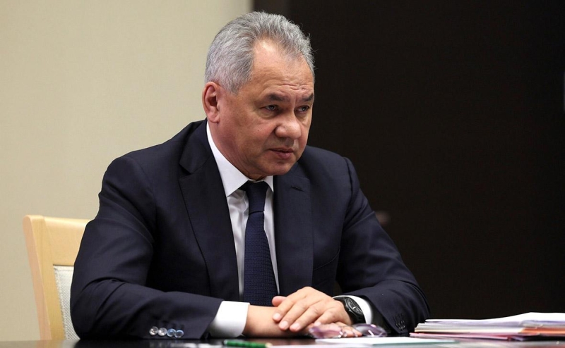 Шойгу объяснил подход Запада фразой «к чему стадам дары свободы»