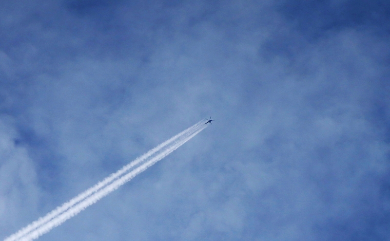 Шольц выступил против ввода миротворцев НАТО на Украину