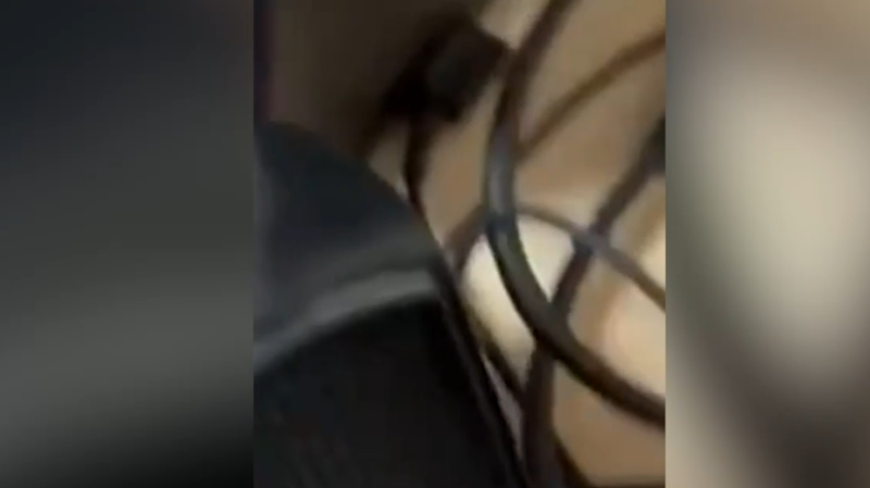 Силовики доставили на допрос отца девочки, открывшей стрельбу в школе