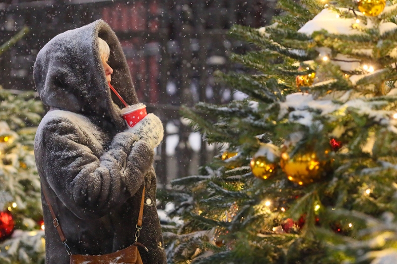 Синоптики подвели промежуточные итоги &laquo;снежного нашествия&raquo; на Москву
