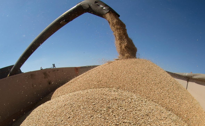 Сирийским госслужащим пообещали повысить зарплаты на 400%