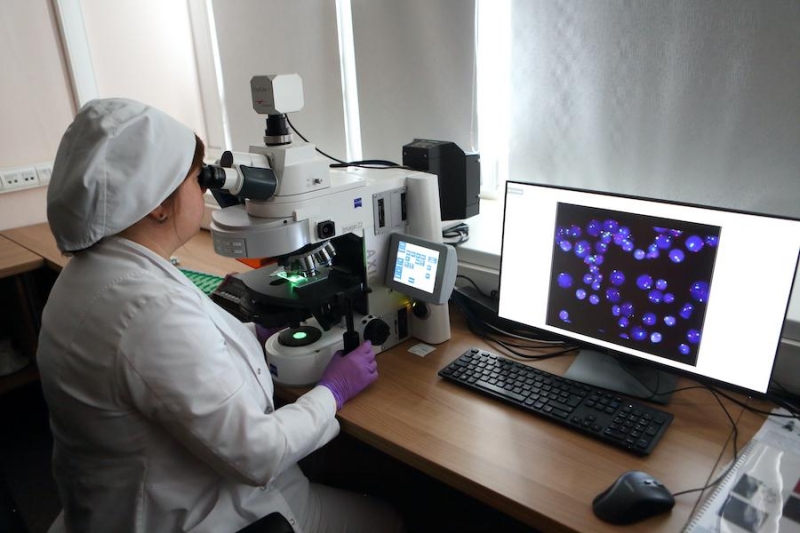 Скорость запуска: зачем Москва создала экосистему исследования