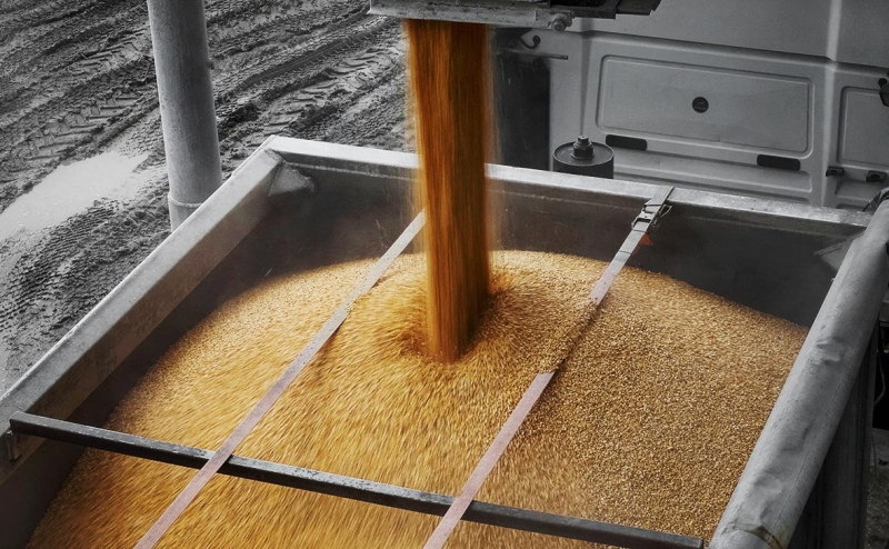 Следовавшие из России и Украины сухогрузы столкнулись в Мраморном море