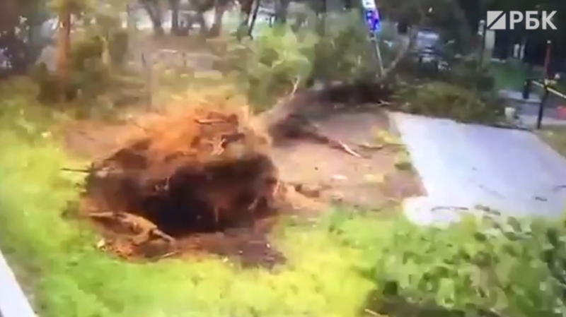 Собянин сообщил о погибшем и пострадавших из-за непогоды в Москве