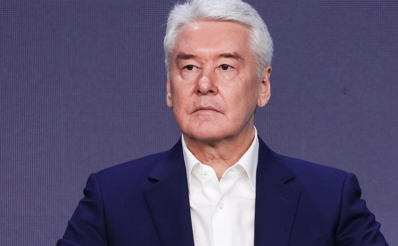 Собянин сообщил о сбитом в подмосковном округе Электросталь дроне