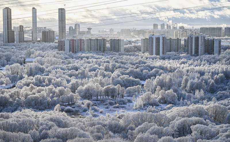 Собянин сообщил о сбитых беспилотниках, летевших на Москву