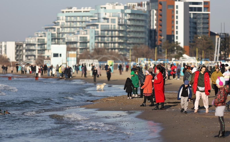 Социологи назвали группы работников, желающих сменить место жительства