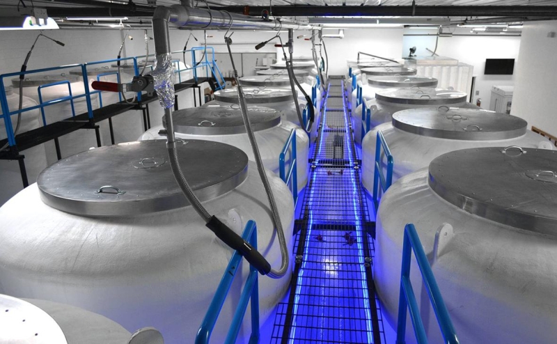 Состояние семьи индийского миллиардера Амбани достигло 10% ВВП страны