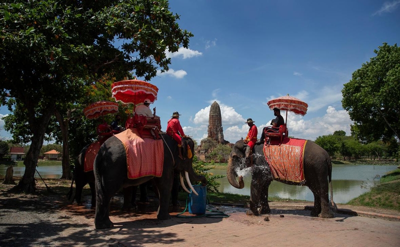 Сотовые операторы назвали популярные у россиян страны в 2023 году