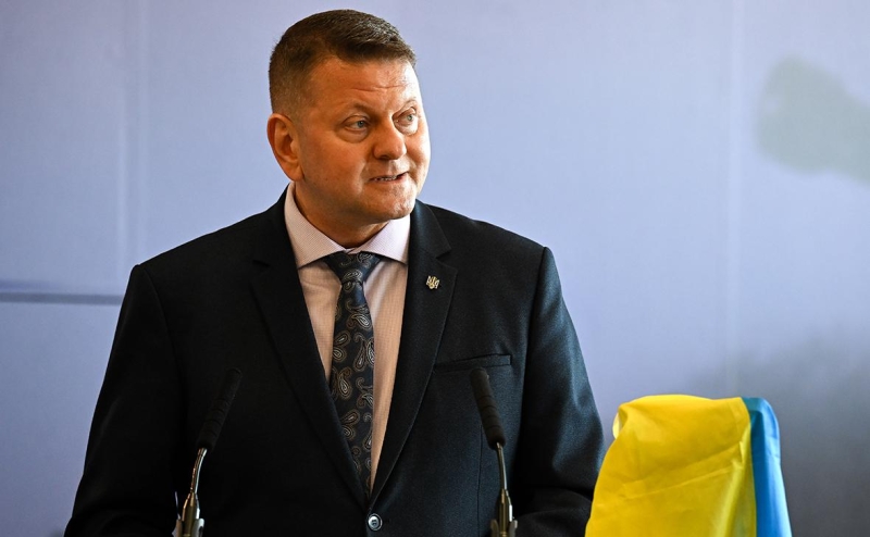 Советница Залужного опровергла «тихую» подготовку к президентским