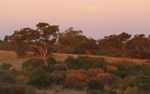 Создание вакцин от COVID не вернуло россиянам веру в отечественную нау