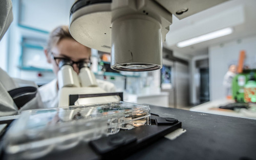 Создание вакцин от COVID не вернуло россиянам веру в отечественную нау