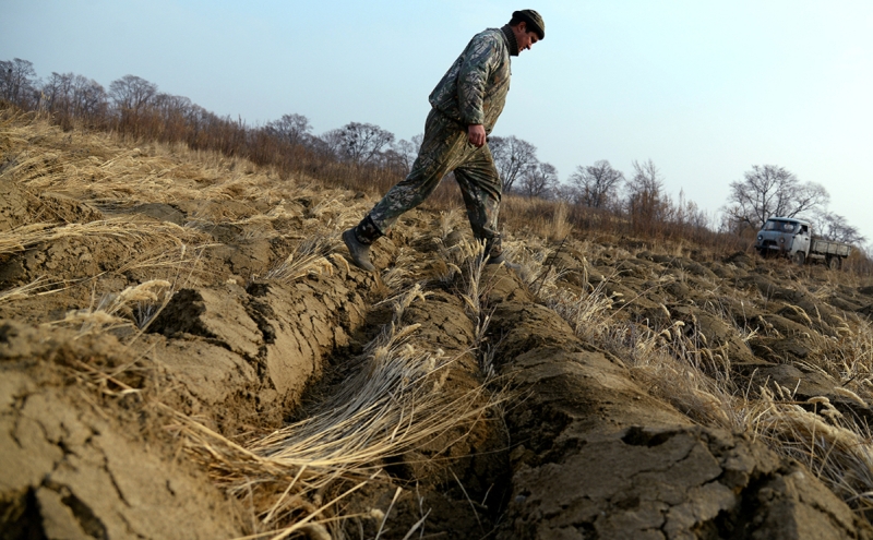 Спрос на «дальневосточный гектар» вырос на треть
