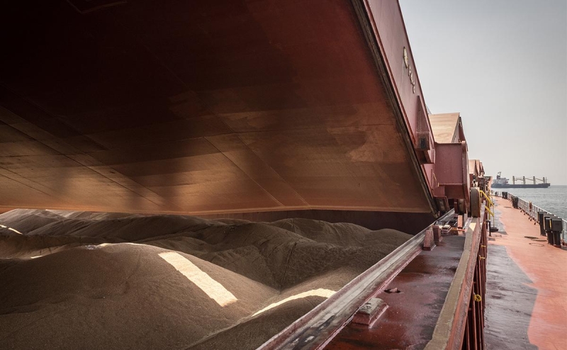 США пообещали поддержку Киеву по зерну после предупреждения Минобороны