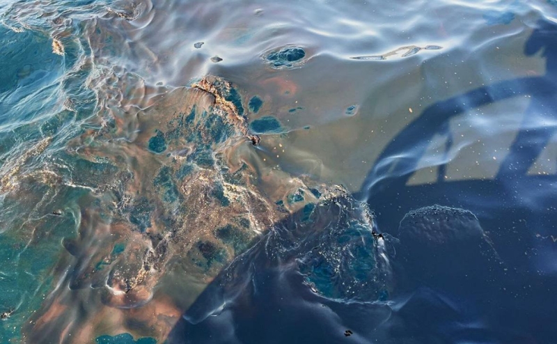 Стало известно, сколько нефти попало в Черное море из-за утечки на КТК