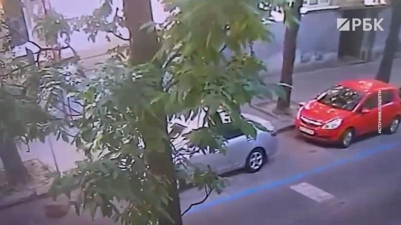 «Страна» рассказала о версиях убийства экс-спикера Рады Парубия