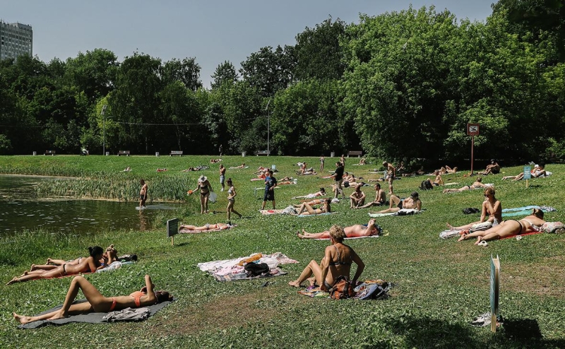 Страны БРИКС в декларации осудили атаки ВСУ по ж/д мостам в России