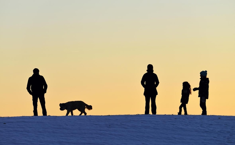 Суд ЕС не стал считать семейные связи достаточным основанием для