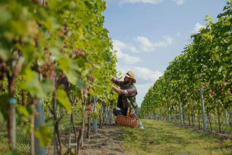 Суд наложил арест на активы Unicredit Bank в России