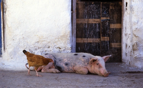 Суд отменил изъятие купленных на бирже акций национализированного
