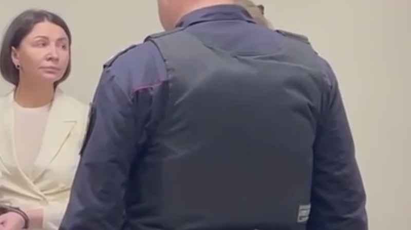 Суд отправил Елену Блиновскую в СИЗО