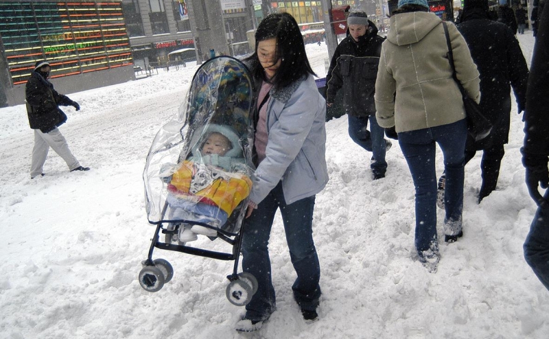 Суд заблокировал указ Трампа об отмене гражданства по праву рождения