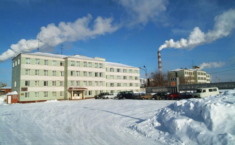 Суд заочно арестовал экс-владельца Соликамского магниевого завода