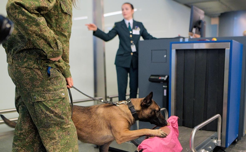 Суды отменили штраф &laquo;Аэрофлоту&raquo; за ввоз 4&nbsp;кг хамона из ЕС