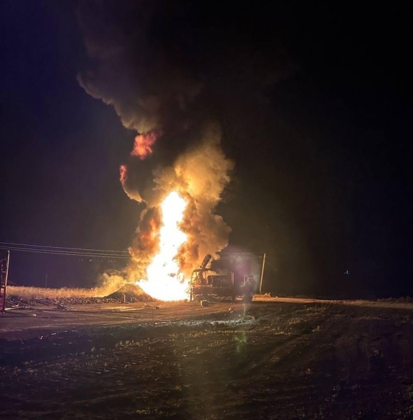 Сын Кадырова пригрозил &laquo;конкретными мерами&raquo; участникам поп-ММА из