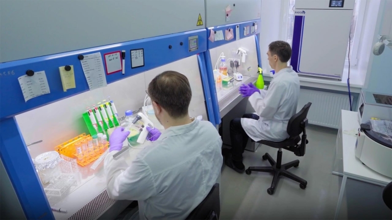 ТАСС сообщил о 31 погибшем в Курской области из-за атаки ВСУ