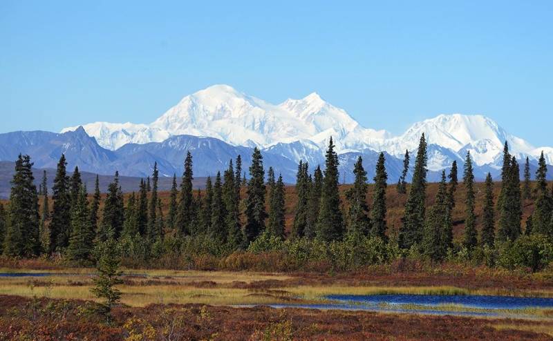 Telegraph узнал, что Трамп готов предложить Путину на Аляске