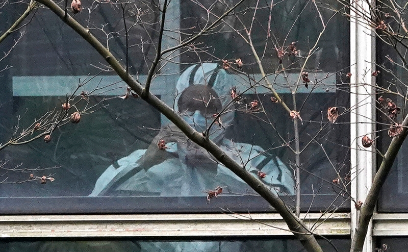 Telegraph узнала о проекте заражения летучих мышей в Китае коронавирусом