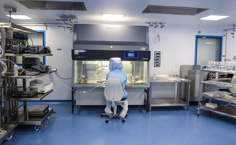 Telegraph узнала о проекте заражения летучих мышей в Китае коронавирусом