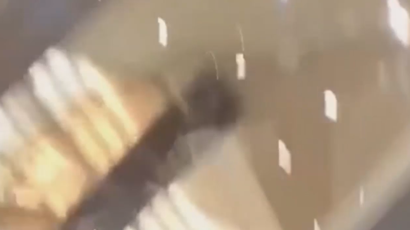 Теракт в «Крокус Сити Холле». Главное