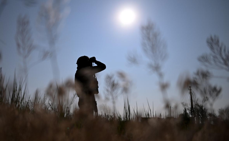 The Economist сообщил о предложенном Путиным перемирии в море и