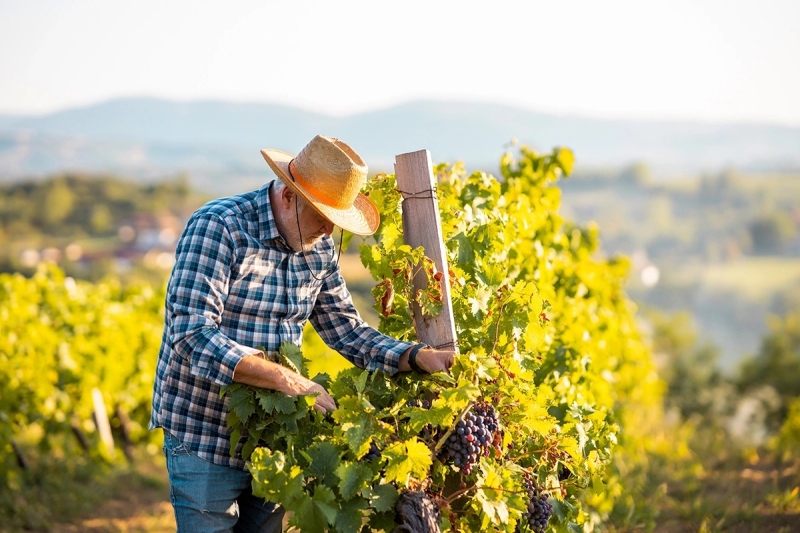 The Times сообщила о &laquo;ядерном варианте Зеленского&raquo;
