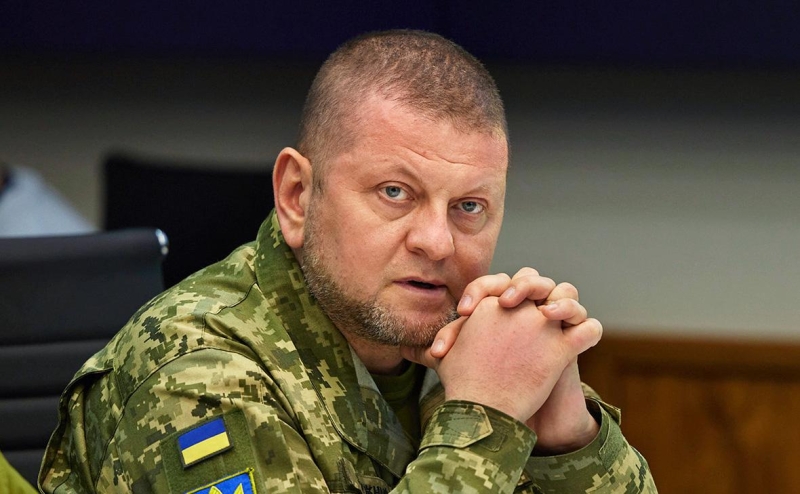 The Times узнала о разногласиях между Зеленским и Залужным