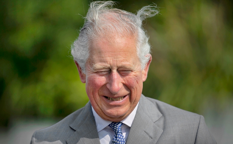 Times узнала, что принц Чарльз получил от премьера Катара €3 млн в сумках