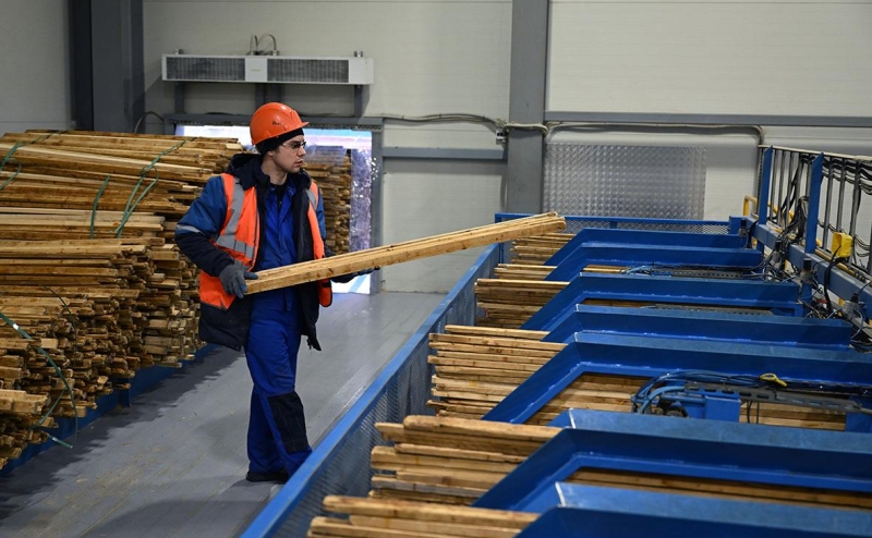 Только половина лесных компаний на фоне санкций поменяли стратегии