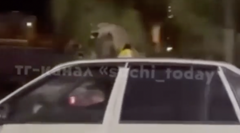 Трамп рассказал о длинном телефоном разговоре с Путиным