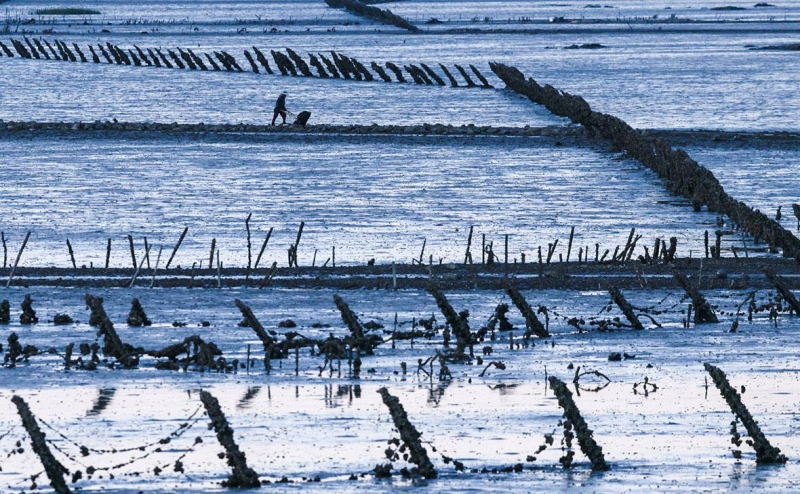 Трамп заявил, что Си Цзиньпин понимает последствия вторжения на
