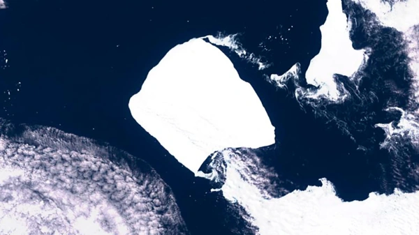 Трамп заявил о планах переименовать Мексиканский залив в &laquo;Залив