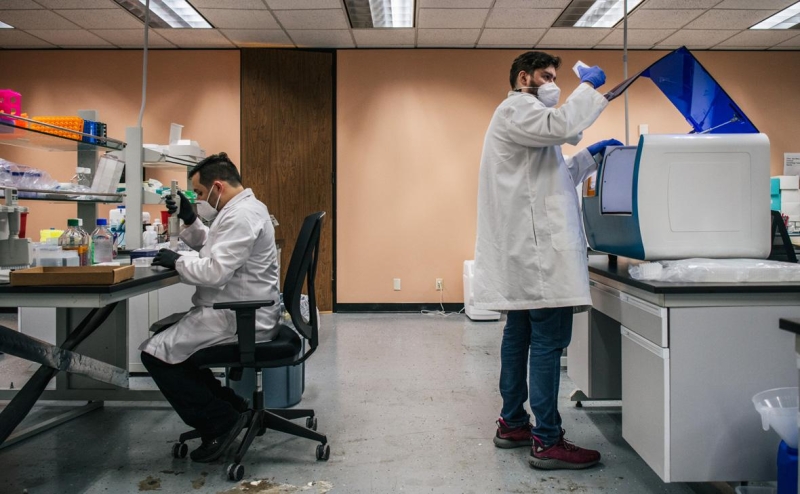 Трамп запретил исследования опасных вирусов, чтобы &laquo;защитить