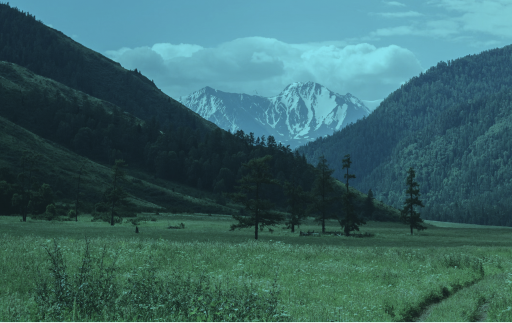 Трампу посоветовали выбрать его соперницу кандидатом в вице-президенты