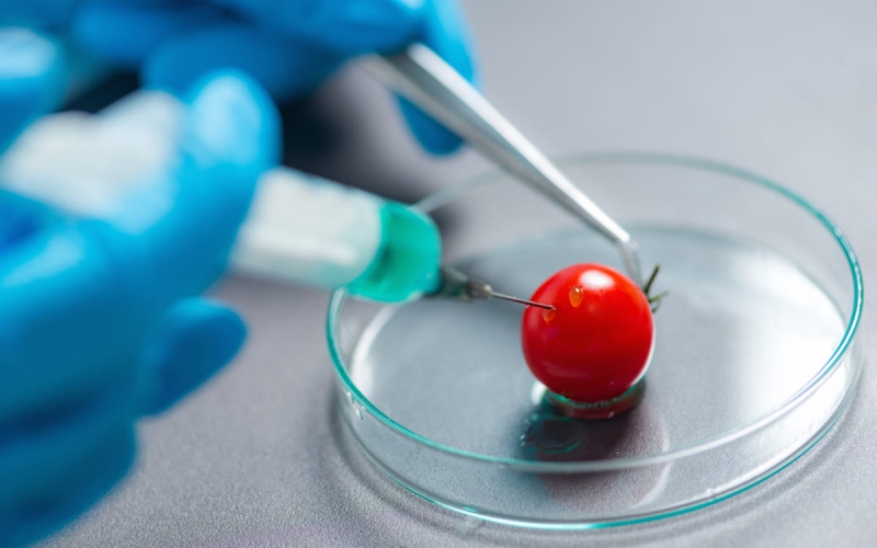 Треть россиян согласились с тезисом, что Солнце вращается вокруг Земли