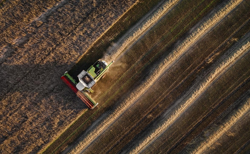 Три страны решили продлить запрет на украинское зерно вопреки решению