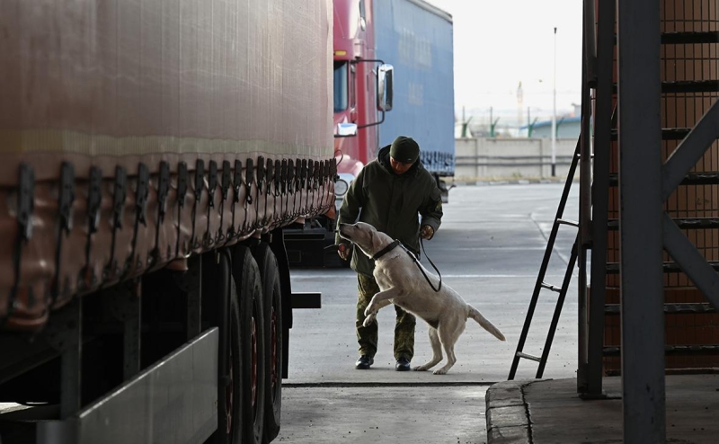 Трутнев предложил ввести новый сбор с проходящих через границу грузов